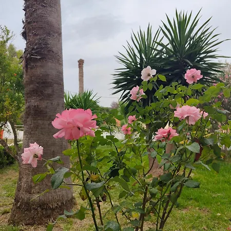 Ξενοδοχείο Sun View
