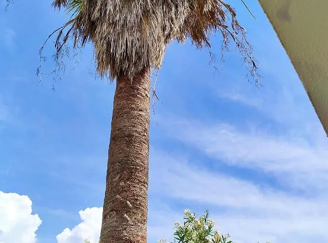Sun View Hotel