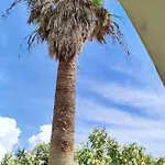 Sea&sun View Hotel